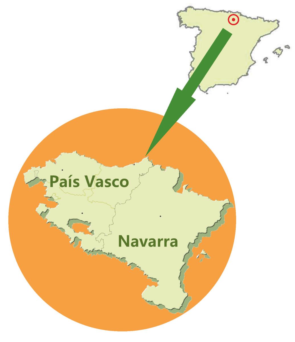 V�a Verde del FC Vasco-Navarro